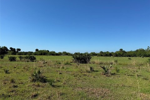 Land in Okeechobee, Florida № 1185575 - photo 2