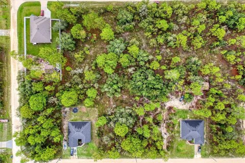 Terreno en venta en Brooksville, Florida № 1352323 - foto 6