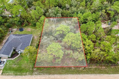 Terreno en venta en Brooksville, Florida № 1352323 - foto 1