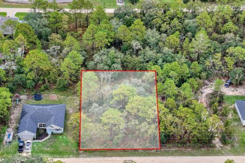 Terreno en venta en Brooksville, Florida № 1352323 - foto 3