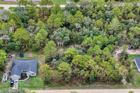 Terreno en venta en Brooksville, Florida № 1352323 - foto 4