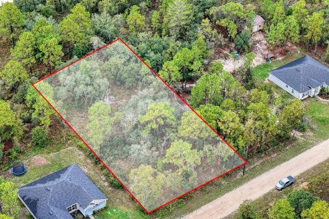 Terreno en venta en Brooksville, Florida № 1352323 - foto 11