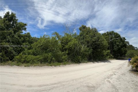 Terrain à vendre à Vero Beach, Floride № 1183901 - photo 3