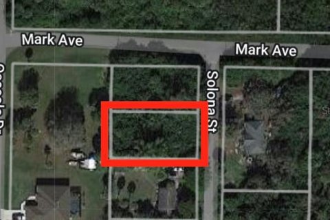 Terreno en venta en Punta Gorda, Florida № 220814 - foto 1