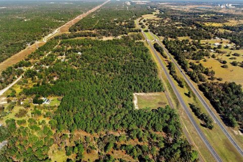 Terreno en venta en Brooksville, Florida № 1295572 - foto 8