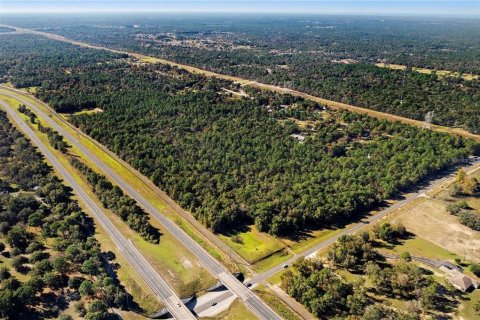 Land in Brooksville, Florida № 1295572 - photo 5