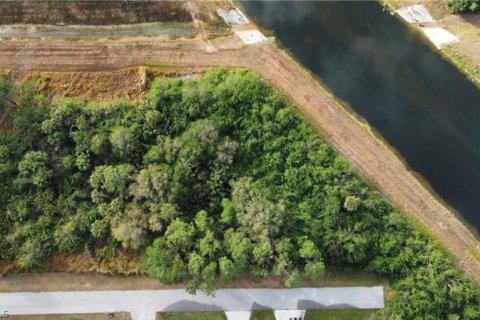 Terrain à vendre à Lehigh Acres, Floride № 704253 - photo 1