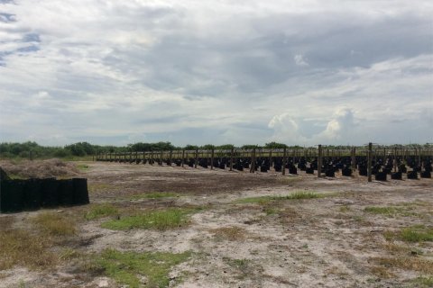 Terrain à vendre à LaBelle, Floride № 1151577 - photo 1