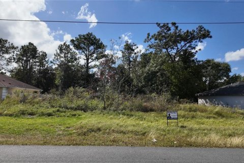 Terrain à vendre à Ocala, Floride № 1431090 - photo 4