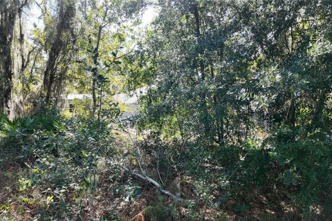 Terreno en venta en Ocala, Florida № 1431090 - foto 14