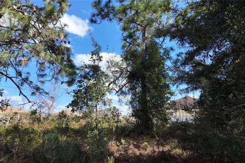 Terreno en venta en Ocala, Florida № 1431090 - foto 10