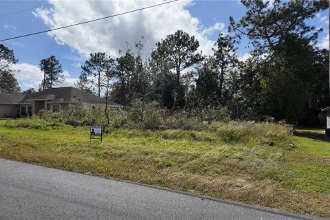 Terreno en venta en Ocala, Florida № 1431090 - foto 6