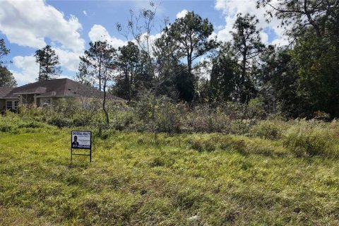 Terreno en venta en Ocala, Florida № 1431090 - foto 21