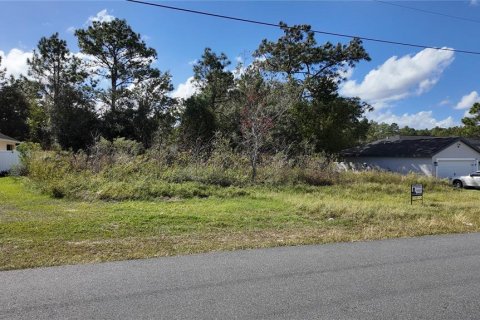 Terreno en venta en Ocala, Florida № 1431090 - foto 2