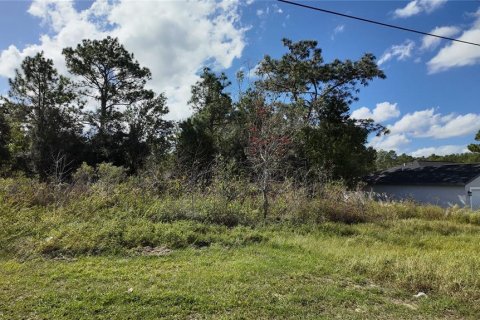 Terrain à vendre à Ocala, Floride № 1431090 - photo 22