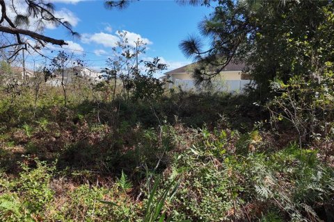 Terreno en venta en Ocala, Florida № 1431090 - foto 16