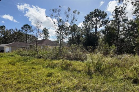 Terreno en venta en Ocala, Florida № 1431090 - foto 20