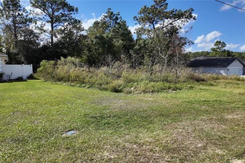 Terreno en venta en Ocala, Florida № 1431090 - foto 3