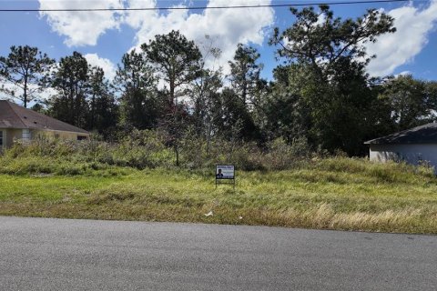 Terrain à vendre à Ocala, Floride № 1431090 - photo 24