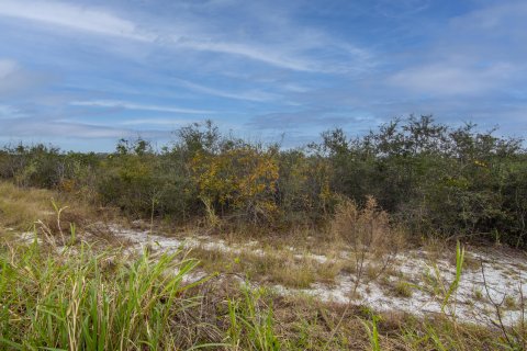 House in Vero Beach, Florida 4 bedrooms, 243.68 sq.m. № 966050 - photo 29