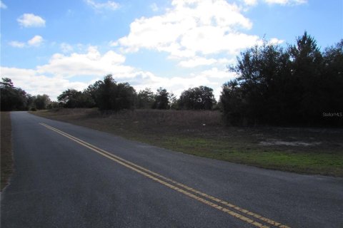 Land in Ocala, Florida № 1395648 - photo 6