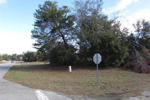 Land in Ocala, Florida № 1395648 - photo 10