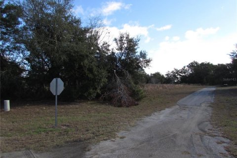 Land in Ocala, Florida № 1395648 - photo 11