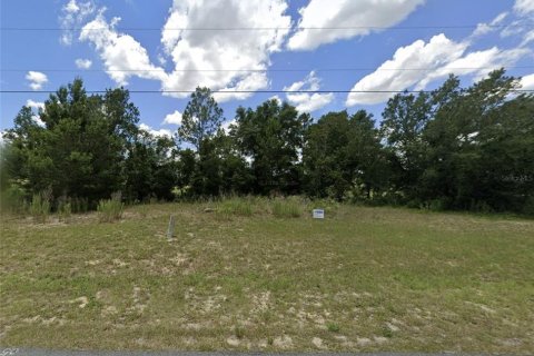 Land in Ocala, Florida № 1418001 - photo 2