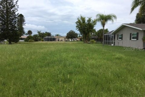 Land in Rotonda, Florida № 219076 - photo 3