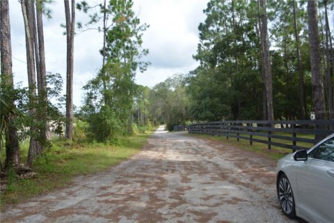 Terrain à vendre à Deltona, Floride № 1379420 - photo 4