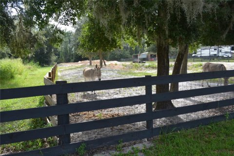 Land in Deltona, Florida № 1379420 - photo 20