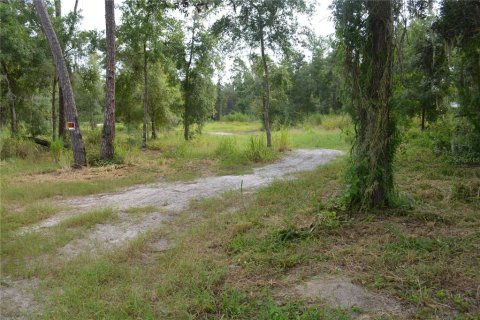 Terrain à vendre à Deltona, Floride № 1379420 - photo 5