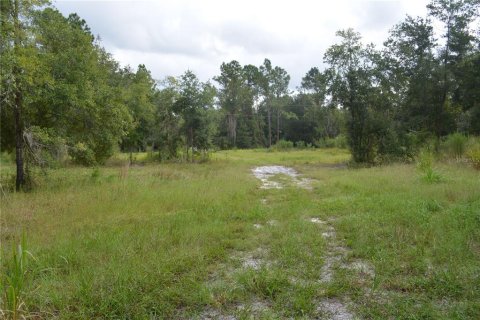 Terrain à vendre à Deltona, Floride № 1379420 - photo 13