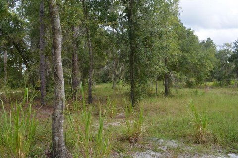 Terrain à vendre à Deltona, Floride № 1379420 - photo 9