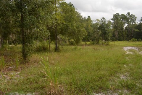 Terrain à vendre à Deltona, Floride № 1379420 - photo 12