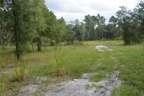 Terrain à vendre à Deltona, Floride № 1379420 - photo 7