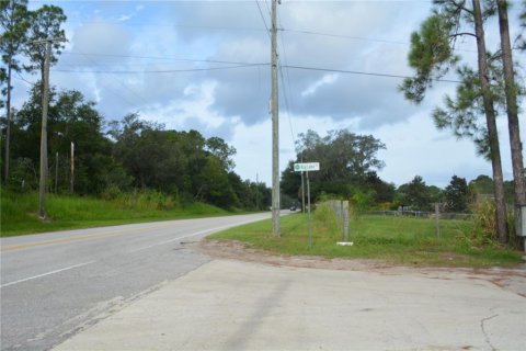 Terrain à vendre à Deltona, Floride № 1379420 - photo 6