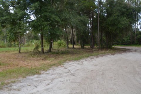 Land in Deltona, Florida № 1379420 - photo 21