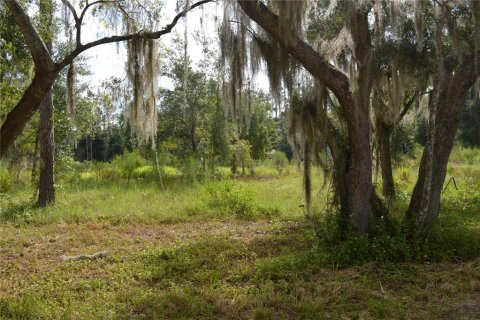 Land in Deltona, Florida № 1379420 - photo 16