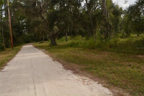 Land in Deltona, Florida № 1379420 - photo 14