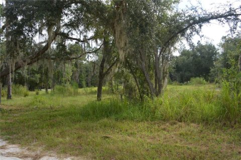 Land in Deltona, Florida № 1379420 - photo 15