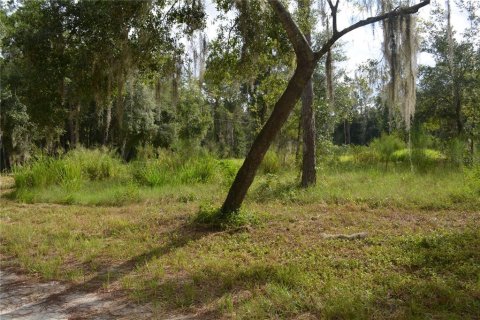 Terreno en venta en Deltona, Florida № 1379420 - foto 17