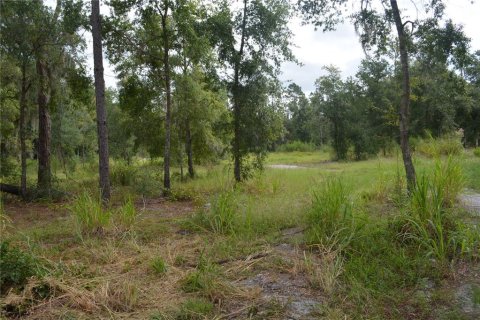 Terrain à vendre à Deltona, Floride № 1379420 - photo 8