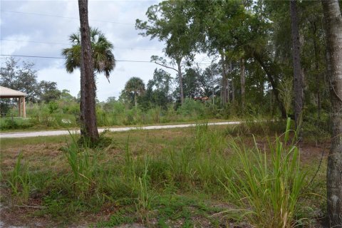 Land in Deltona, Florida № 1379420 - photo 11