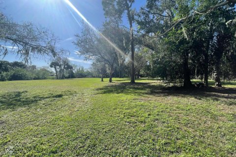 Land in Okeechobee, Florida № 954869 - photo 1