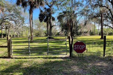 Land in Okeechobee, Florida № 954869 - photo 4