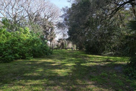 Land in Okeechobee, Florida № 954869 - photo 16