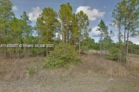 Купить земельный участок в Клуистон, Флорида № 862091 - фото 1