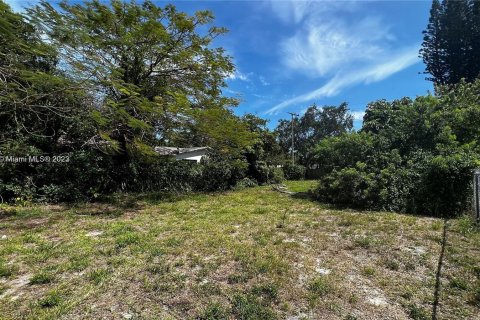 Land in Hollywood, Florida № 505460 - photo 3