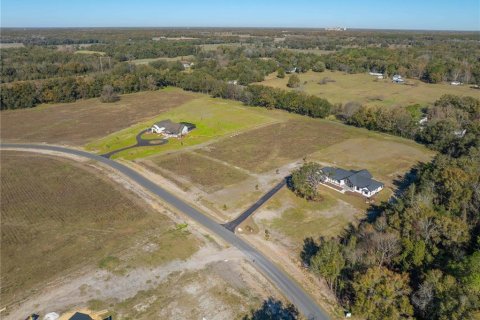 Terreno en venta en Newberry, Florida № 1323858 - foto 4